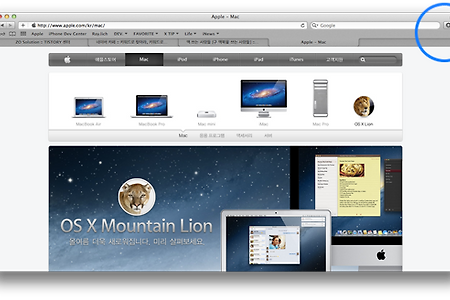 맥 사파리(응용프로그램) 창 최대화 기능 및 단축키