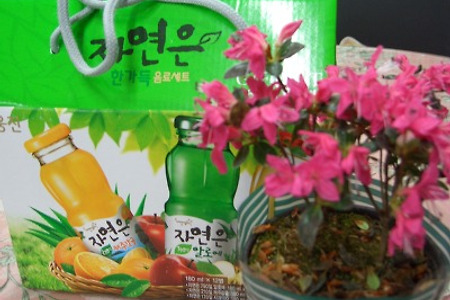 중고차 판매를 잘하는 방법은?(중고차 판매가 어려우신가요?)-자신의 정직한 땀방울과 눈물의 수고를 아끼지 마세요 ( 결과는?