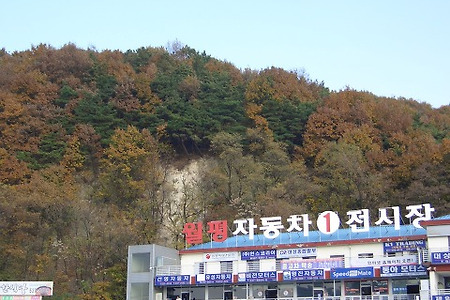 중고차!기다릴줄 아는 미덕(그랜드카니발,포터차량을 판매하며)
