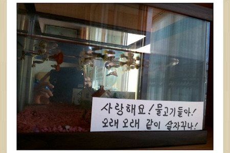 <사랑의 위력><사랑하면, 이로써 모든 사람이 내 제자인줄 알리라>