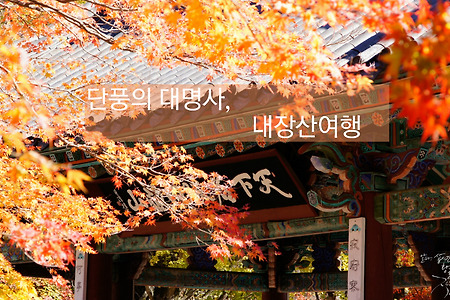 단풍의 대명사, 내장산에서..