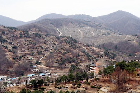 한국의 공원묘지