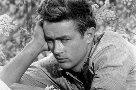 칼의 고통이 진짜 고통이었던가