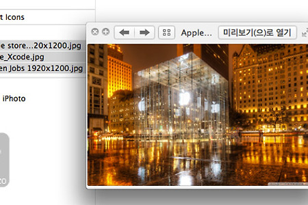 맥(Mac) 이미지나 사진을 스페이스와 방향키로 편하게 보기