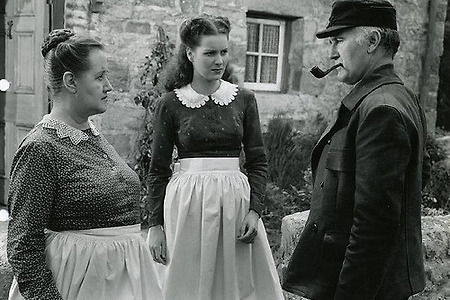 유년시절은 얼마나 아름다웠던가