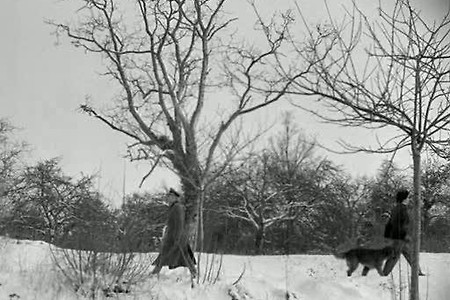 [리뷰] 장 피에르 멜빌 '바다의 침묵 Le Silence de la mer'