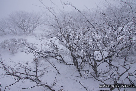 한라산 설경