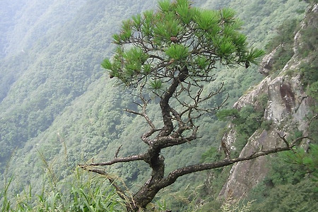 중고차영업을 잘할수 있는 비결은? (시편 46:5 새벽에 하나님이 도우시리로다)- 기도응답을 경험했던 일들