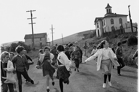 알프레드 히치콕의 '새'