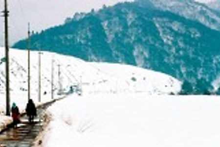 [시네마테크 지키기 55회] 가야할 길에 대한 질문과 답을 동시에 주는 곳