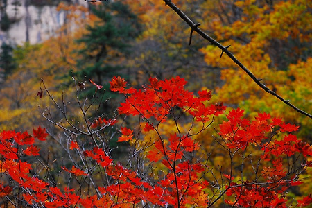 설악산 (10/17)