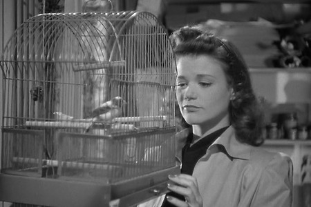 자크 투르뇌르의 '캣피플'