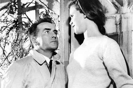 자연적 공간을 삼키는 미국적 이상