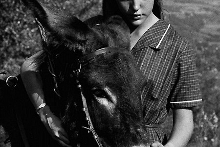 다리, 그 운동의 정신을 정신의 운동으로 - 로베르 브레송의 <당나귀 발타자르>