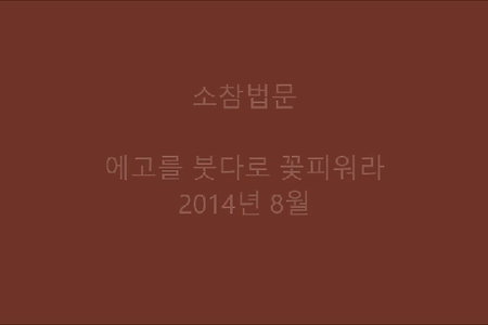 에고를 붓다로 꽃피워라