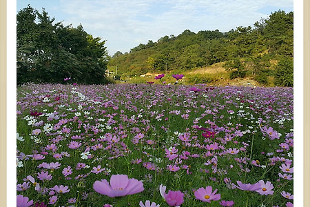 삶을 변화시키는 경건의 시간, 큐티 QT, 오늘의 만나, 바울의 선교여행,