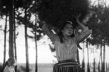 낯선 포르투갈 영화들에 대한 짧은 안내-<움직이는 삶 Mudar de Vida>