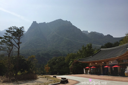 설악산 케이블카 타고 권금성 단풍 구경하기