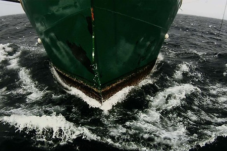 [리뷰] <리바이어던> -  뤼미에르의 순간