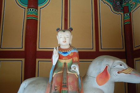 진정한 보현행원의 실천