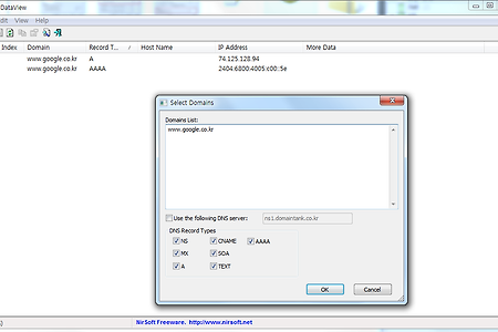 DNS 정보 조회 툴 DNSdataview