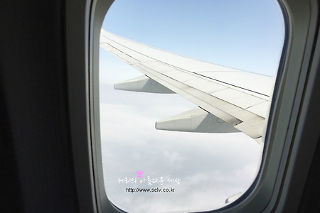 진에어 괌 기내식, 괌 입국신고서 작성하기