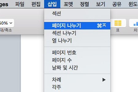 Pages 페이지 나누기 단축키 - Mac Pages 단축키로 한방에 '페이지 나누기'
