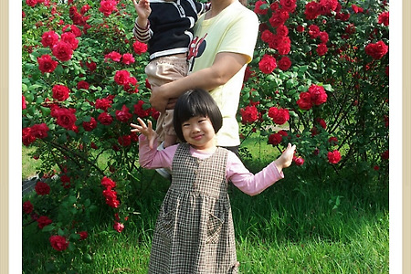 [대전 수목원나들이, 충신지도 불사이군, 풍성한삶의 비결, 박부장의 가족나들이, 오상고절,