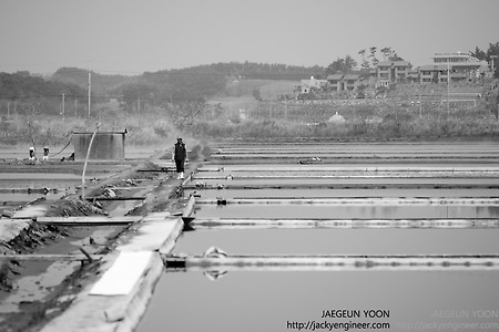 태안반도(안면도) 신온리 염전