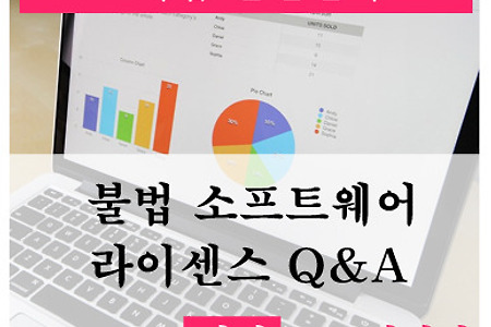 불법 소프트웨어 라이센스/저작권 관련 Q&A