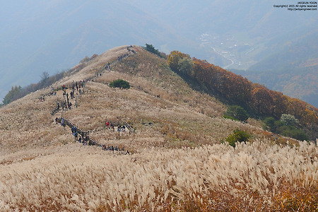 민둥산