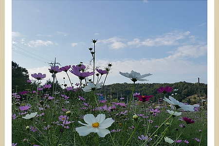 나누는 삶의 축복, 서로를 위해 나누는 삶, 기부천사,