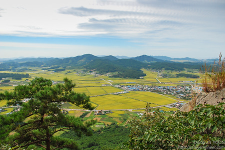 산행 추억기록 : 고창 선운산  / 2010.09.25