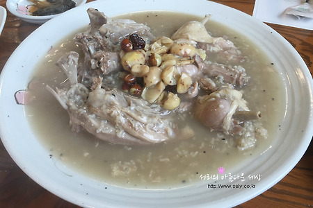 허브정원이 예쁜 오포 맛집 허브뜨락