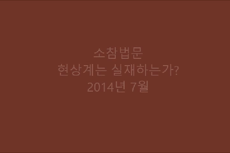 현상계는 실재하는가