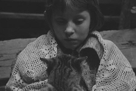 [리뷰] 황폐한 세계와 그곳의 인간들 모두의 존엄을 위한 춤