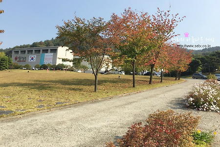 경기도 가볼만한곳, 광주 영은미술관 작품감상 힐링하기