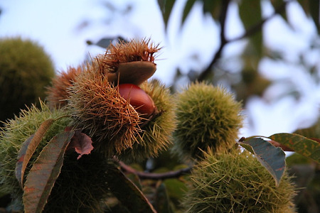 2016년 9월법회 질의응답