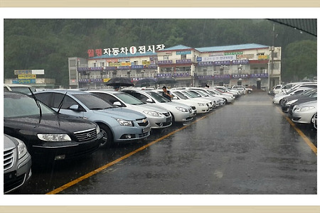 [중고차매장의 여름풍경][비내리는 중고차시장 풍경][월평동중고차매장]