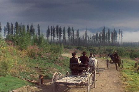 [리뷰]<천국의 문> - 3시간 36분, 그 절망과 무력의 시간