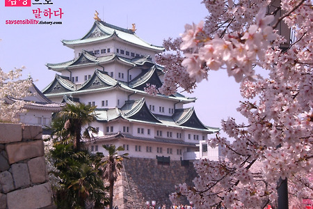 [일본여행] 나고야성(名古屋城) - 긴샤치(金シャチ) 보러가기