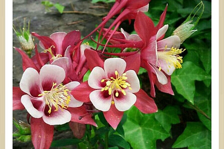 <세계를 품는 경건의 시간><매일의 영적인 양식인 qt 를 갖는법><<하나님의 말씀을 가까이 하는 사람들의 축복>