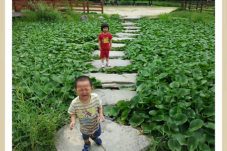 [대전수목원 나들이, 가족나들이, 아이들방학, 해보고 일들, 불볕더위피서법,