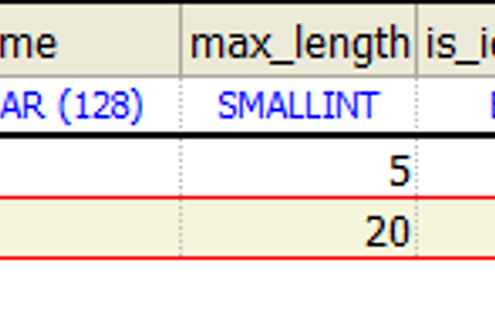 MSSQL 테이블 레이아웃 출력 쿼리