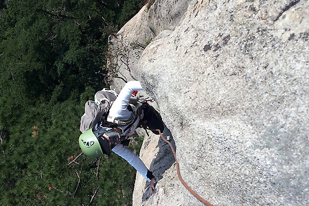 도봉산 배추흰나비의 추억(2013.9.18)