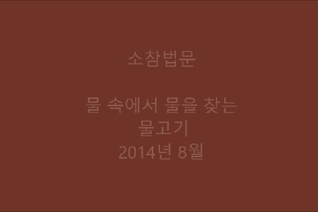 물 속에서 물을 찾는 물고기
