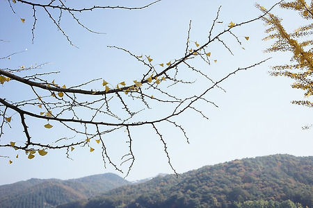 괴산 문광저수지