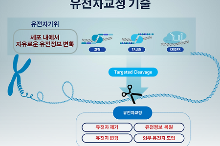 [투자] 툴젠
