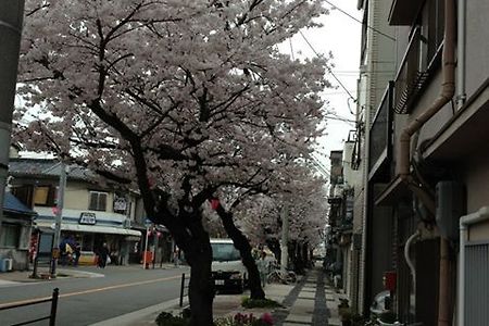 이방인의 친구, 다산