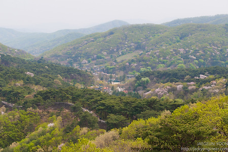 남한산성 성곽길  / 2012년 04월 30일